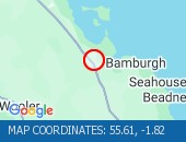 55.61--1.82
